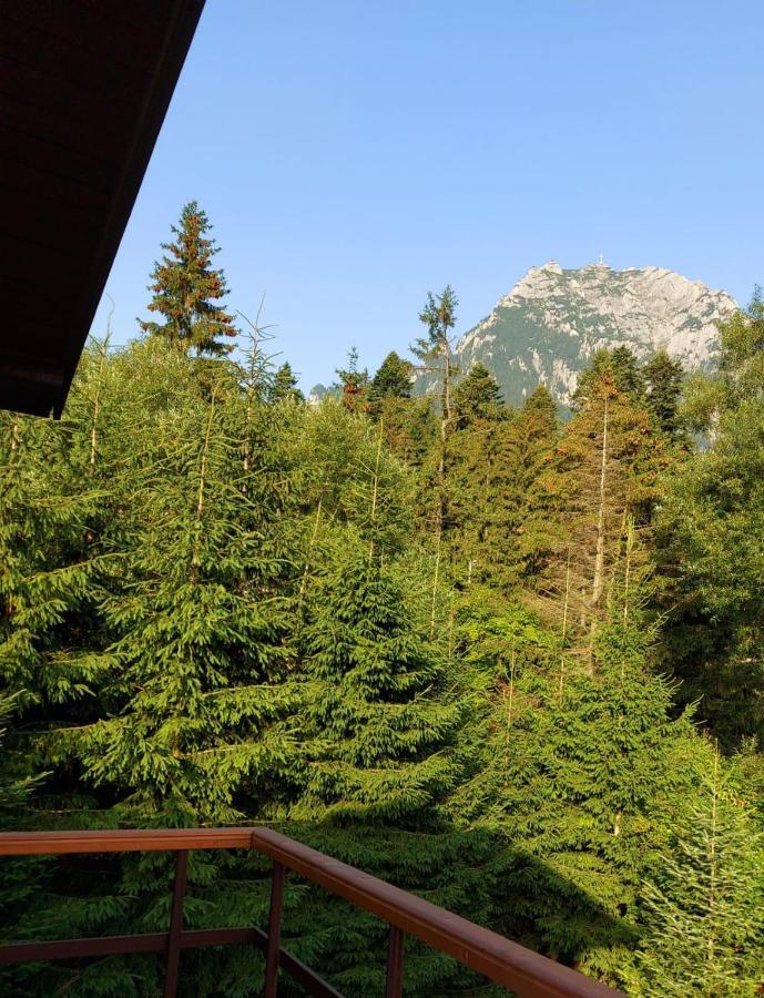 C House Villa Busteni Exterior photo